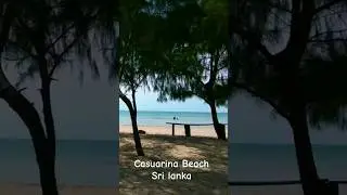 Exploring Sri Lanka's Hidden Gem: Casuarina Beach #ceylon #travel #beach #nature #drone