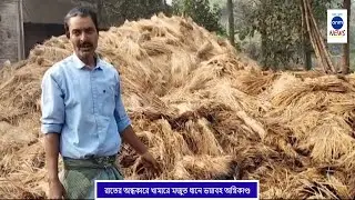 রাতের অন্ধকারে খামারে মজুত ধানে ভয়াবহ অগ্নিকাণ্ড / fire at paddy field / ANM News