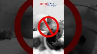 DIY Rat Mesh Installation: Stop Rodents from Destroying Your Car!