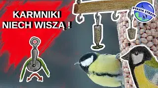 Wisząca stacja dokarmiania i karmnik na wysokim poziomie.