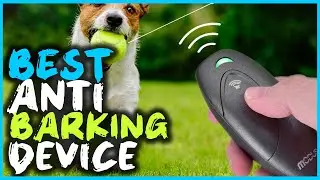 Top 4 Best Anti Barking Device Reviews 2023 | Included LED Indicate, Indoor and Outdoor