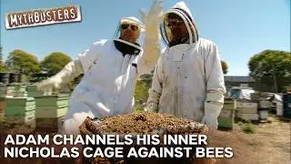 How Many Bees Would It Actually Take To Lift A Laptop? | MythBusters