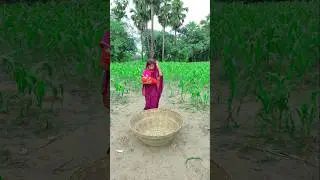 maa ne bacche ko tokri me chipa diya 😱😭 #youtubeshort #trendingshort #viralshort #bollywood