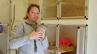A New Veterinarian at the Idaho Falls Zoo! Welcome Dr. Kacey Lucore
