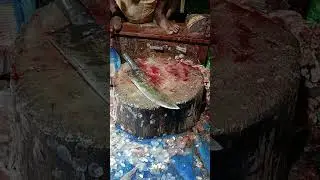 Live highlight