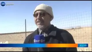 تربية النعام والضربان ببئر النعام ..تجربة وهواية