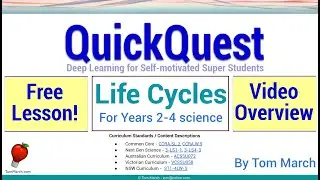 QuickQuest on Life Cycles