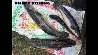 Net Fishing - at Prey Veng Province - Cambodia Traditional Fishing - Khmer Cast Net Fishing