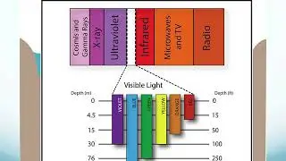 Chapter 5 seawater chemistry