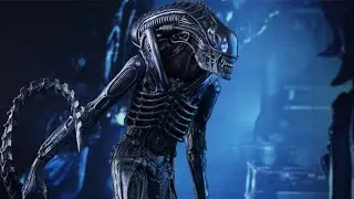 NECA Alien vs Predator Warrior Alien Action Figure Toy Box 20230104