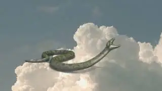 Snakes fly in the sky