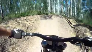 LOGIC Trail