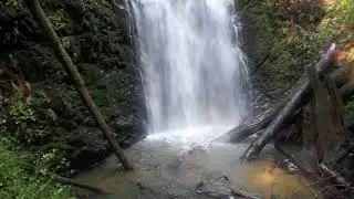 Waterfalls of Big Basin Redwoods State Park, California