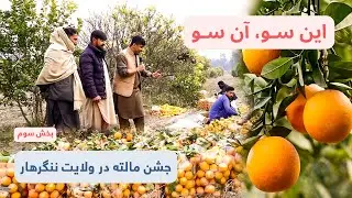 این سو، آن سو: جشن مالته 🍊 در ولایت ننگرهار - بخش سوم