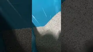 Tilli Cleaning machine, Seed cleaning machine 📲☎️📞+91 93402 60259