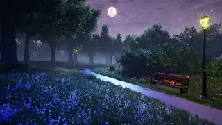 Countryside Park Night Time Ambience - Birdsong, Rustling Trees, Video for Relaxation and Sleep