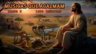 Adoração Gospel Suave | Música para Acalmar a Alma