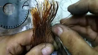 Oster  Licuadora Campos Embobinar.