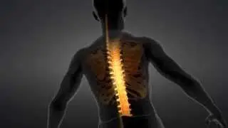 3D Ergonomic Full-Spectrum Heater Animation  - Alpha Industries&copy;