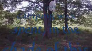 Our Property