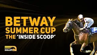 ЛЕТНИЙ КУБОК BETWAY: ВНУТРЕННЯЯ ИНФОРМАЦИЯ