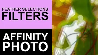 Feather Selections And Filters In Affinity Photo | How To | Quick Tip | Graphicxtras