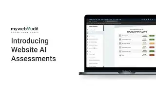 AI Assessment - AI Vision Website Audit