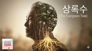 제시 리 - [신곡] 상록수 (The Evergreen Tree) - 