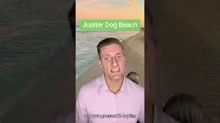 The Best Dog Beaches In South Florida - Dog Friendly Beaches #floridaliving  #dog #southflorida