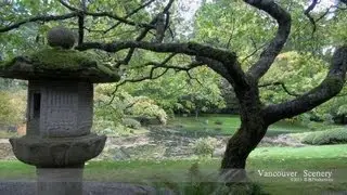 Nitobe  Garden, Vancouver  ‪新渡戸記念庭園‬  CANADA