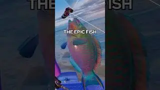 HERE&rsquo;S HOW TO CATCH THE EPIC FISH🐟🔥