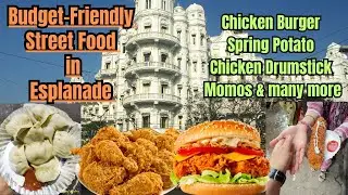 Budget-Friendly Street Food in Esplanade(Kolkata) | Under Rs 300 Ap try kr skte hai 4+ types of item
