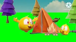 chicky camping forset