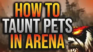 How to TAUNT PETS in Arena!  - 9.1 Shadowlands Mistweaver Monk PvP