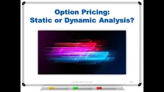 Option Pricing: Static or Dynamic Analysis?