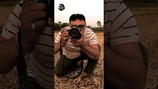 Nikon Coolpix 📷🔥 Wildlife Photography #shorts #video #wildlife #viral #nikon #photography #reels