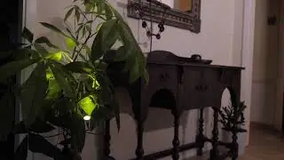 Omega Bright Garden   Plant LED Shadow Lights with Timer