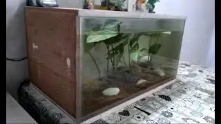 Meu Primeiro Aquapiso
