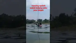 mancing nyobok wko #videoshort #mancing #mancingmania #strike