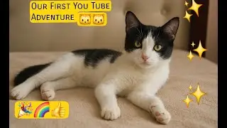 Rescued a Stray Cat & Creating Art Together! 🐱✨  Our First YouTube Adventure