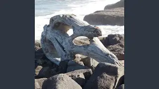 Creep Step