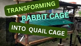 Cage modification,  from rabbit cage to quail cage. @scentfarms #quailfarmingnigeria