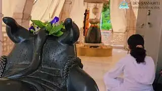 Walking with balance, Mind steady. Path clear || DSVV Haridwar