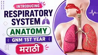 RESPIRATORY SYSTEM || ANATOMY AND PHYSIOLOGY || GNM 1st YEAR || NURSING CLASSES IN MARATHI