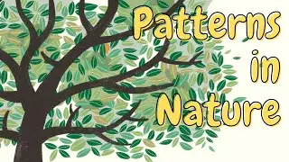 Patterns in Nature | Short Stories for Children