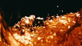 Bourbon is More Than a Drink