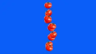walking Tomatoes on green screen/tomatoes animation green screen