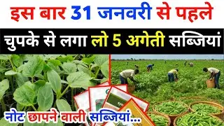 नोट छापने वाली सब्जी की खेती | जनवरी-फरवरी में कौन सी सब्जी लगाए | Ageti sabji ki kheti kab Karen