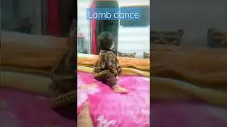 Baby lamb dance #baby #masha #ultrafunk #baby girl #jackleach #northern