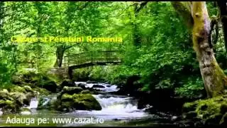 Cazare Corbu, Constanta - Cazat.ro